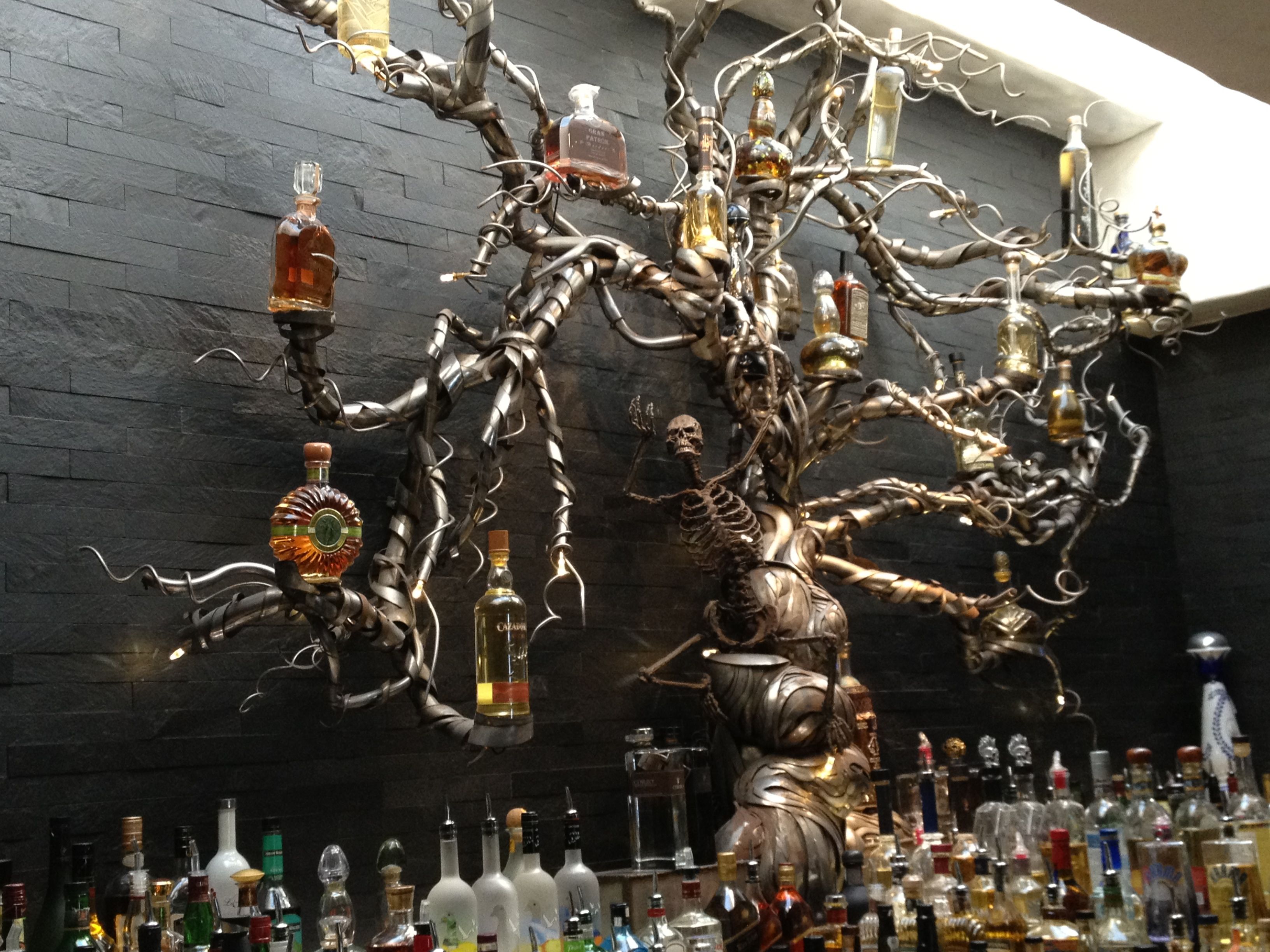 Javier’s Crystal Cove Scot Brown